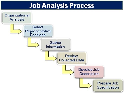 Job Analysis Process